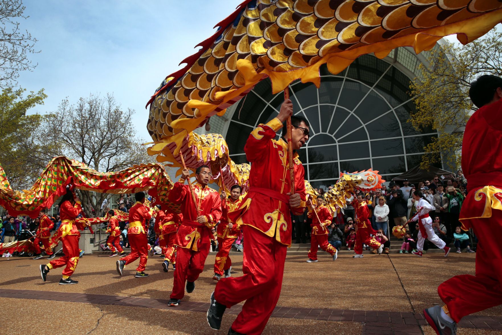 Discovering Chinese culture at MoBot